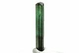 Gemmy, Sharply Terminated Blue-Green Tourmaline - Brazil #206871-2